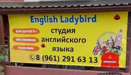 Фотография English Ladybird 3