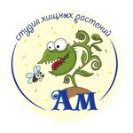 Анна Посохова